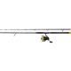 Black Cat Hard Core Combo Allround Rod 2,70m 500gr 2-delna Palica Black Passion FD 80 s kolutom in vrvico