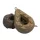Korda Original Big Grippa Bojlis svinec 224gr
