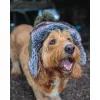 Fox Trapper Hat Téli Sapka