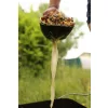 Fox Baiting Spoons Particle Baiting Spoon Žlica za vabo