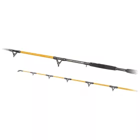 Predator Z Catzoom Brutal 3,00m 850gr 2-delna Soma Palica