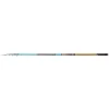 Carp Zoom Dynamite Telematch 4,20m 10-80gr Telematch Bot
