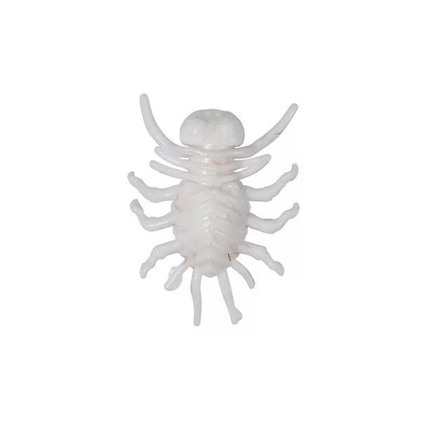 Duo Realis Koninmushi 3,2cm F602 Shirohitori Mehka vaba 4 kos