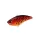 Duo Realis Apex Vibe F85 8,5cm 25gr CCC3069 Red Tiger Potapljajoči Vobler