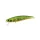 Duo Spearhead Ryuki 71S 7,1cm 10gr ADA4059 Green Gold OB potapljajoč vobler
