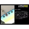 Evergreen Little Max Heavy Weight Tune 6,5cm 28gr #209 Hologram Wakasagi Blade Vaba