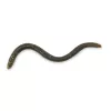 Iron Claw Drop Stuff Crawler WM 7,5cm Plasztik Csali 22db