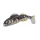 Iron Claw 3D Clone Goby Grundel BP 10cm 12gr Plasztik Csali