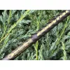 Garbolino Essential X-Tend Match Hybrid 3,90-4,20m Match Palica
