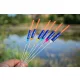 Garbolino Carp Competition Float Sp C81 - 0,3gr - Hard Skin - Inter 3,0Mm - Tekmovalni plovec - Plovec za svetilno palčko