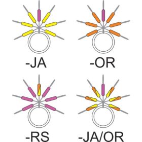   Garbolino - STREAMLINE STIX LINE VISUALIZER - Drobni pribor - Zamašek - Gumijast zamašek za postrv