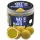 Haldorádó Max Motion Bojli Uravnotežen Champion Corn 70gr 20mm Bojli