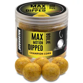   Haldorádó Max Motion Bojli Dipped Champion Corn 100gr 20mm Bojli