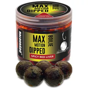   Haldorádó Max Motion Bojli Dipped Začinjena Rdeča Jetra 100gr 20mm Bojli
