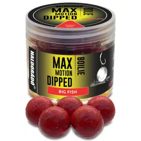   Haldorádó Max Motion Bojli Dipped Velika Riba 100gr 20mm Bojli