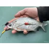 Haldorádó Catfish Rig 1 Kombinirana sumična predvrvica s plovcem 100cm