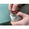 Haldorádó Catfish Rig 4 Predvrvica za soma z živo vabo ˝Haarmontage˝ 180cm