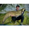 Haldorádó Catfish Rig 8 Vrvica za ribolov soma z vabo 100 cm