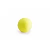 Mivardi Rapid Reflex Ananas-maslena kislina 10mm Pop Up 70gr