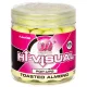 Mainline Zbledela rumena - Toasted Almond - 15mm - vaba za trnek