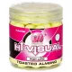 Mainline Zbledela rumena - Toasted Almond - 12mm - vaba za trnek