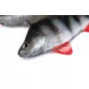 Fox Rage Ultra Natural Perch Fillet 8cm Plasztik Csali 4db