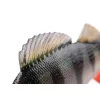 Fox Rage Ultra Realistic Perch Replicant Ostriž Plastična Vaba 10cm 22gr