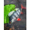 Fox Rage Ultra Realistic Perch Replicant Vaba za ostriže iz plastike 14cm 52gr