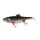 Fox Rage Giant Replicant Wobble UV Mladi Ostriž 27cm 218gr Gumijasta vaba