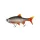 Fox Rage Ultra Natural Replicant Roach 23cm Gumijasta Riba