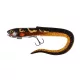 Fox Rage Slick Eel Loaded 21cm Burbot Plastična Vaba