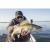 Fox Rage Bulk Loaded Slick Shads UV Arkansas Shiner 9cm 2/0 10gr Plastična Vaba