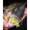 Fox Rage Bulk Loaded Zander Pro Shads UV Lemon Tiger 12cm 4/0 50gr Plastična Vaba