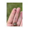 Preston Feeder Links Soft Short 55mm Naprava proti vozlanju 2 kosa