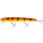 WESTIN Jätte Crankbait 17cm 47g Plavajoči Alert Tiger Vobler