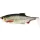 WESTIN Ricky the Roach Shadtail 10cm 14g Prava klen Škatla s 30 kosi Plastična vaba